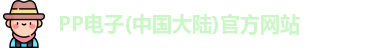 PP电子